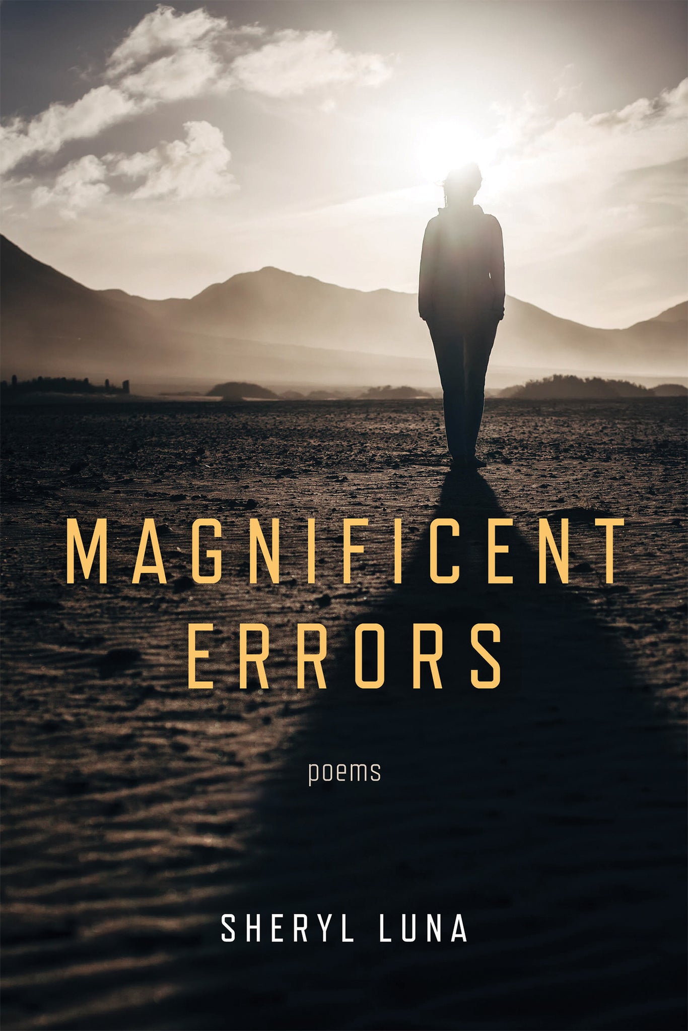 Cover image for Magnificent Errors ISBN 9780268201814